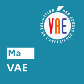 VAE