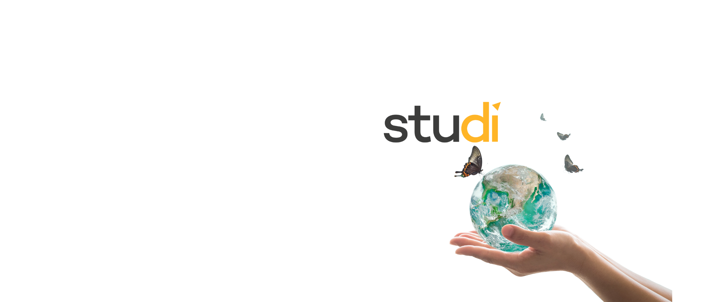 Studi header