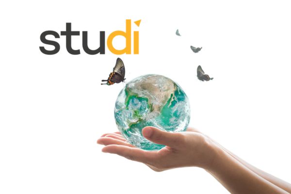 STUDI Comprendre la RSE : les clés pour intégrer la responsabilité sociétale en entreprise