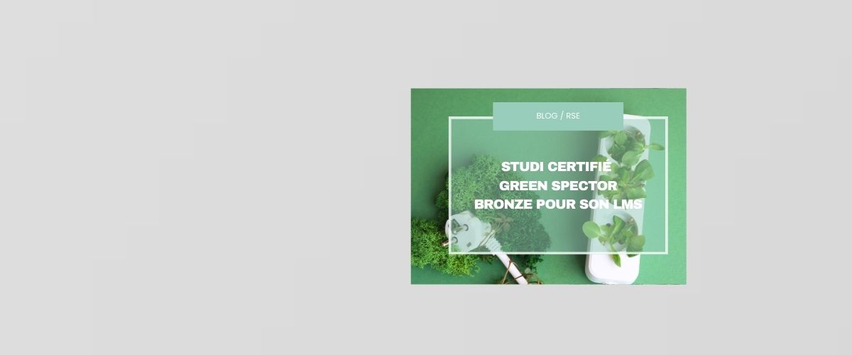 Studi certifié Green Spector Bronze