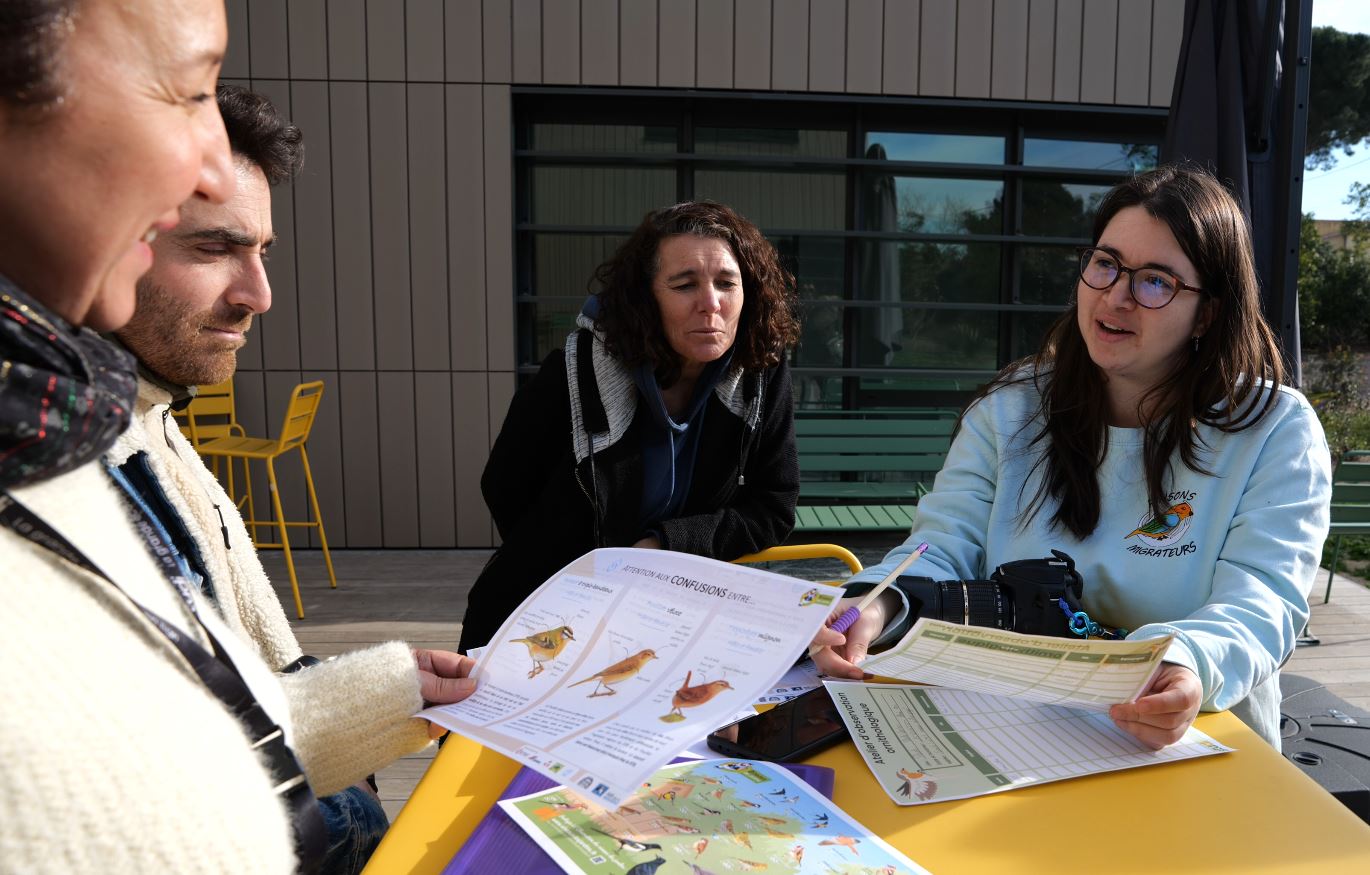 atelier biodiversité Studi observation des oiseaux 