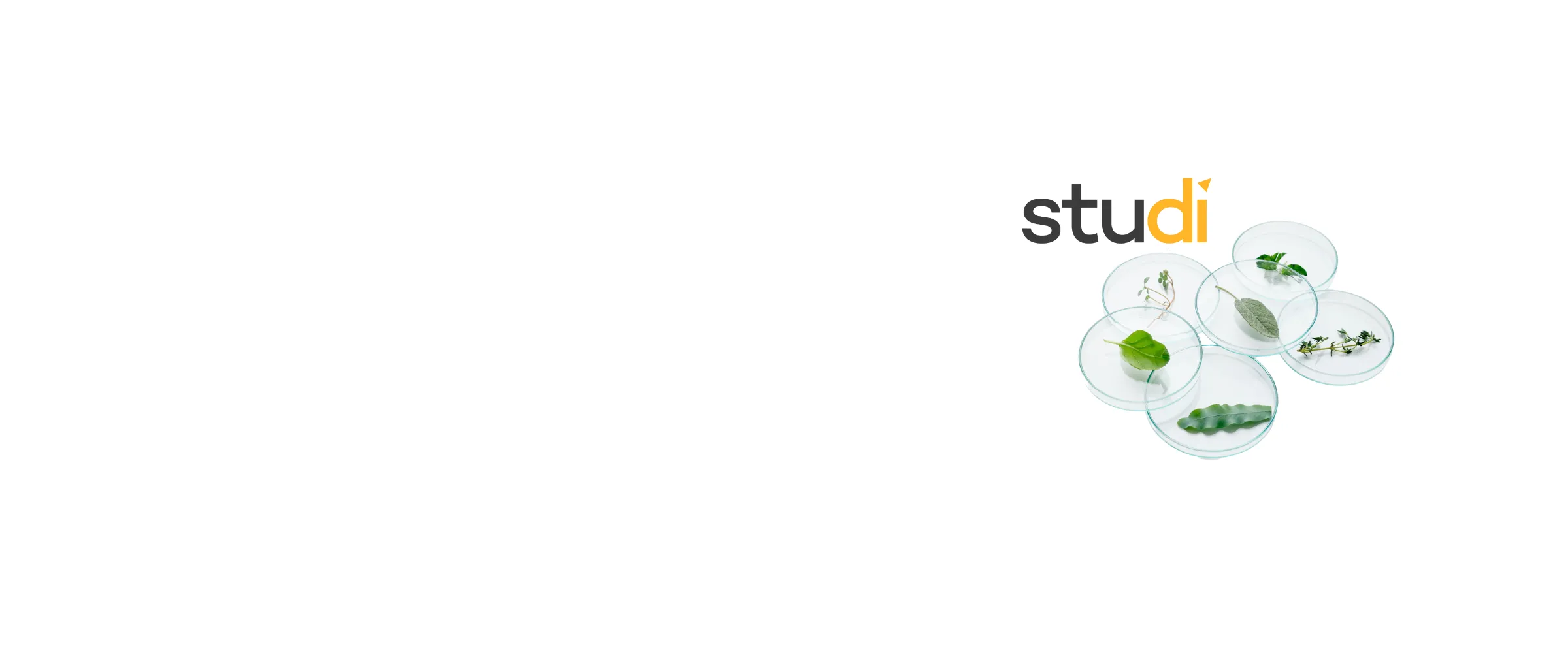 responsabilité partagée studi