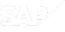 Sap logo blanc